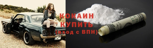 твердый Арсеньев