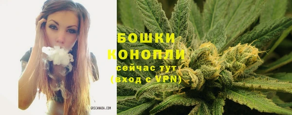 гидра Тавда