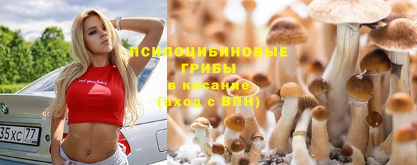 твердый Арсеньев
