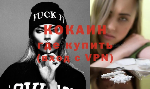 твердый Арсеньев