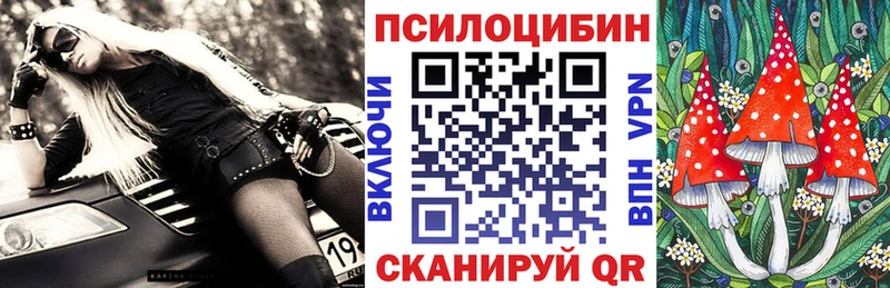 Купить  Бор  Псилоцибиновые грибы мицелий 